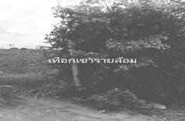 กดที่นี่เพื่อแสดงรายละเอียด