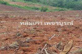 กดที่นี่เพื่อแสดงรายละเอียด