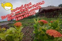กดที่นี่เพื่อแสดงรายละเอียด