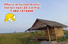 Click here to view detail