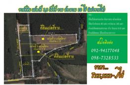 Click here to view detail