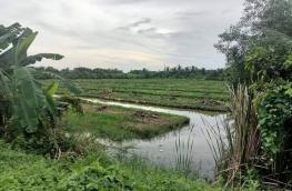 กดที่นี่เพื่อแสดงรายละเอียด