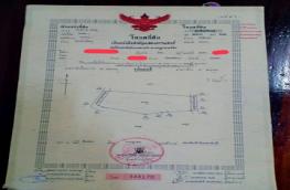 Click here to view detail