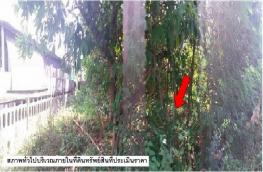 กดที่นี่เพื่อแสดงรายละเอียด