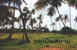 กดที่นี่เพื่อแสดงรายละเอียด