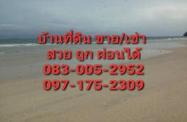 กดที่นี่เพื่อแสดงรายละเอียด