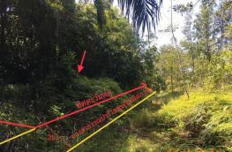 Click here to view detail