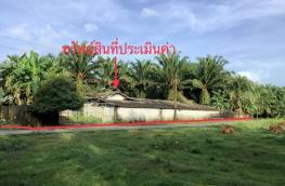 กดที่นี่เพื่อแสดงรายละเอียด