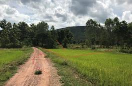 กดที่นี่เพื่อแสดงรายละเอียด
