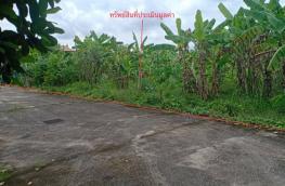 กดที่นี่เพื่อแสดงรายละเอียด