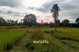 กดที่นี่เพื่อแสดงรายละเอียด