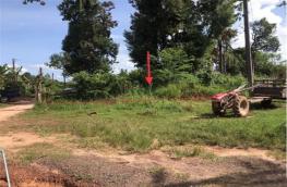 กดที่นี่เพื่อแสดงรายละเอียด