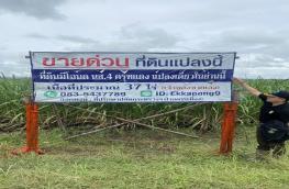กดที่นี่เพื่อแสดงรายละเอียด