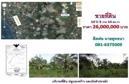 กดที่นี่เพื่อแสดงรายละเอียด