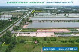 กดที่นี่เพื่อแสดงรายละเอียด