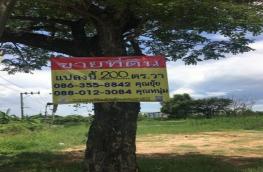 กดที่นี่เพื่อแสดงรายละเอียด