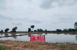 กดที่นี่เพื่อแสดงรายละเอียด