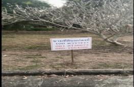 กดที่นี่เพื่อแสดงรายละเอียด