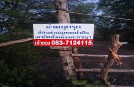 กดที่นี่เพื่อแสดงรายละเอียด