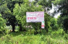 กดที่นี่เพื่อแสดงรายละเอียด