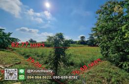 Click here to view detail