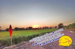 กดที่นี่เพื่อแสดงรายละเอียด