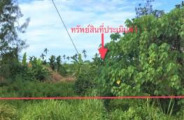 กดที่นี่เพื่อแสดงรายละเอียด