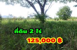 Click here to view detail