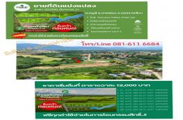 Click here to view detail