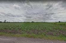 LP63060210-Urgent sale, vacant land, 27 rai, beautiful land on Nakhon Ratchasima Road, Pak Chong, Wang Sai