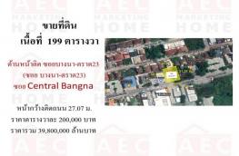Click here to view detail