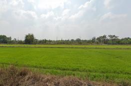 กดที่นี่เพื่อแสดงรายละเอียด