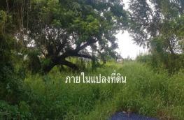 กดที่นี่เพื่อแสดงรายละเอียด