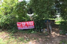กดที่นี่เพื่อแสดงรายละเอียด