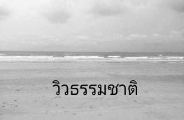 กดที่นี่เพื่อแสดงรายละเอียด