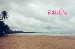 กดที่นี่เพื่อแสดงรายละเอียด