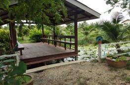 Click here to view detail