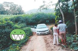 กดที่นี่เพื่อแสดงรายละเอียด