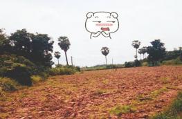กดที่นี่เพื่อแสดงรายละเอียด