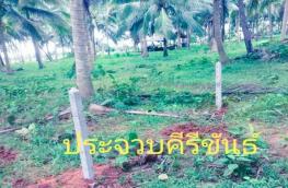 กดที่นี่เพื่อแสดงรายละเอียด