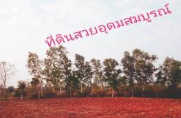 กดที่นี่เพื่อแสดงรายละเอียด