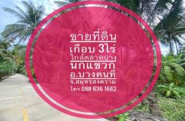 Click here to view detail