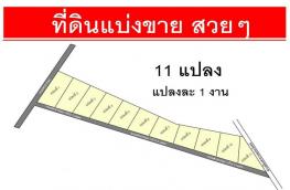 Click here to view detail