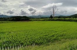 กดที่นี่เพื่อแสดงรายละเอียด