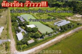 กดที่นี่เพื่อแสดงรายละเอียด