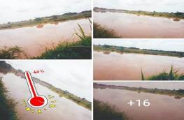 กดที่นี่เพื่อแสดงรายละเอียด
