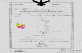 กดที่นี่เพื่อแสดงรายละเอียด