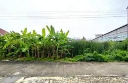 กดที่นี่เพื่อแสดงรายละเอียด
