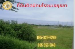 Click here to view detail