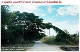 กดที่นี่เพื่อแสดงรายละเอียด